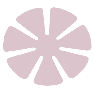 76MM, 7 PETAL 3 MICRON CR 2ND FINE NON COMP - 500